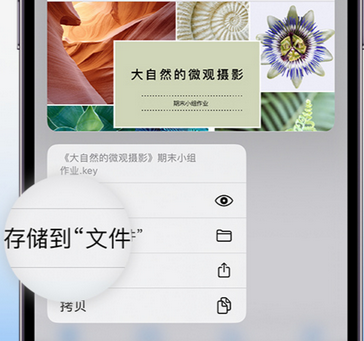 特克斯apple维修中心分享iPhone文件应用中存储和找到下载文件