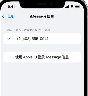 特克斯apple维修iPhone上无法正常发送iMessage信息