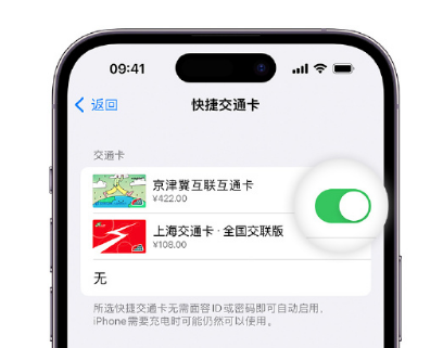 特克斯apple维修点分享iPhone上更换Apple Pay快捷交通卡手绘卡面 