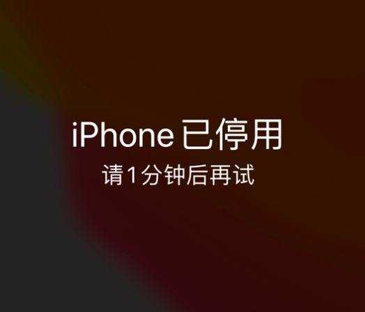 特克斯苹果手机维修分享:iPhone 显示“不可用”或“已停用”怎么办？还能保留数据吗？ 