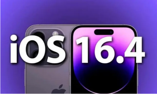 特克斯苹果14维修分享：iPhone14可以升级iOS16.4beta2吗？ 