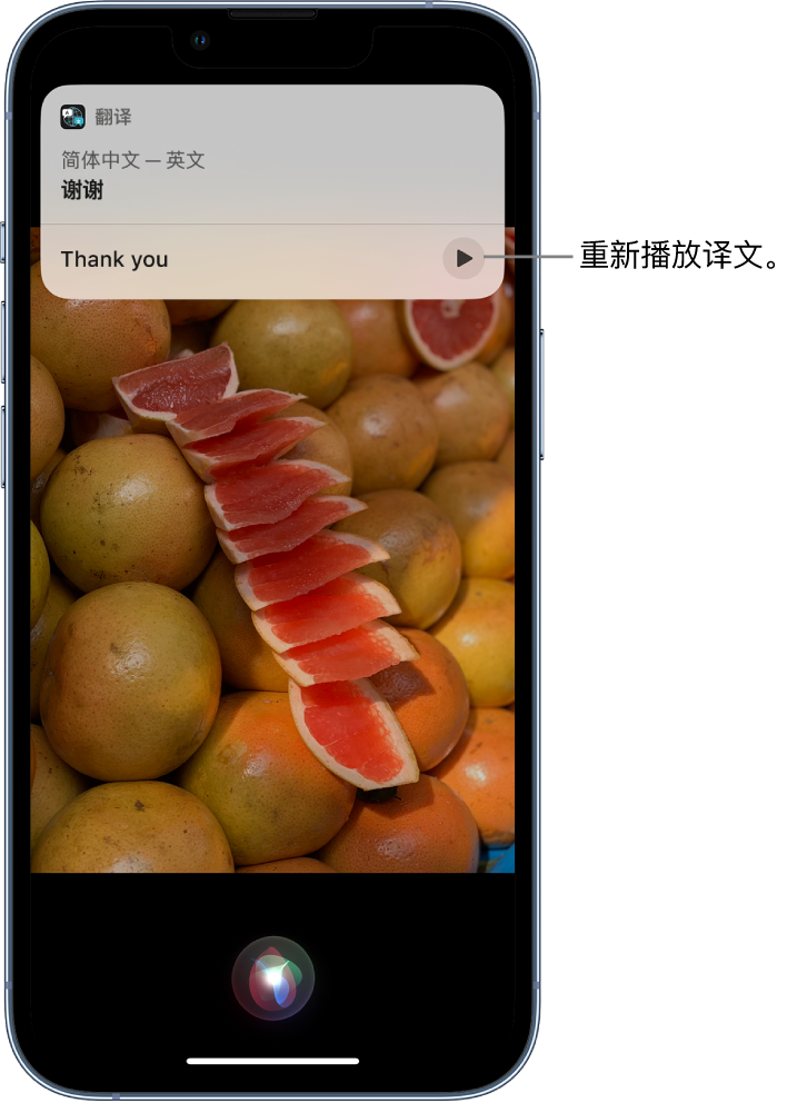 特克斯苹果14维修分享 iPhone 14 机型中使用 Siri：了解 Siri 能帮你做什么 