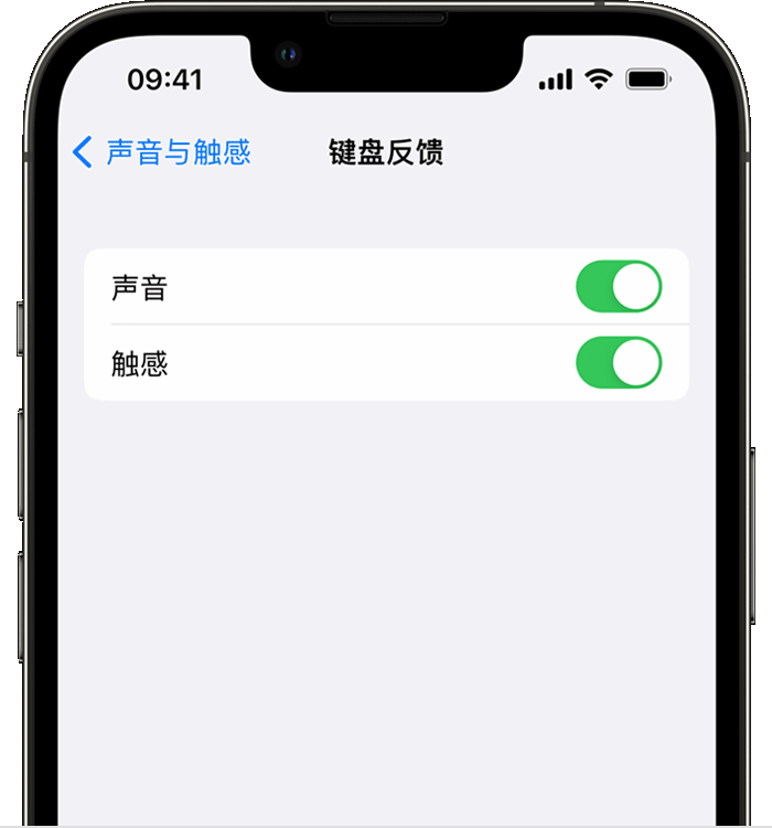 特克斯苹果14维修分享iPhone 14 系列机型如何开启键盘声音或触感反馈 