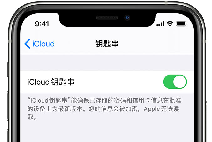 特克斯苹果手机维修分享在 iPhone 上开启 iCloud 钥匙串之后会储存哪些信息 