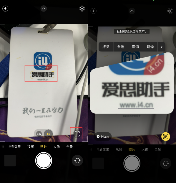 特克斯苹果手机维修分享升级iOS 16后如何通过相机翻译文本 