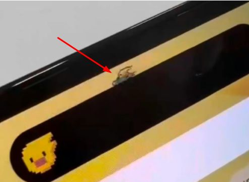 特克斯苹果14维修分享iPhone 14 Pro Max灵动岛怎么养宠物 
