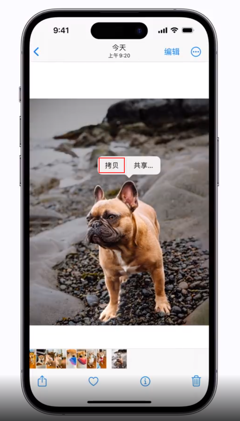 特克斯苹果手机维修分享 iOS 16 自带一键抠图功能 