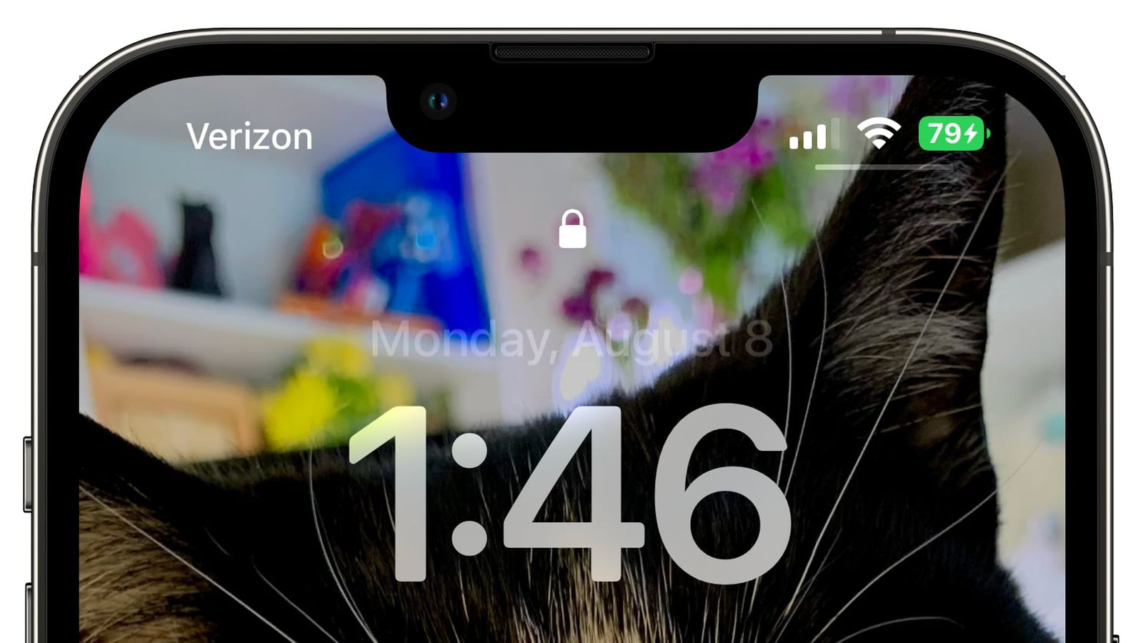 特克斯苹果手机维修分享iOS 16 beta 5 支持状态栏显示电池百分比，如何开启？支持哪些机型 