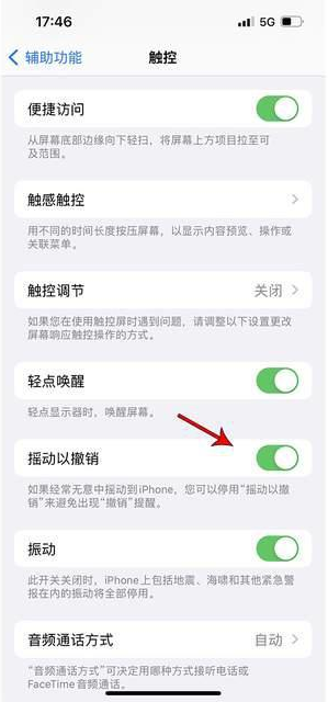 特克斯苹果手机维修分享iPhone手机如何设置摇一摇删除文字 