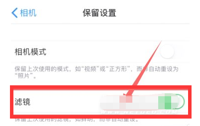 特克斯苹果13维修分享iPhone13拍照有绿点是怎么回事 