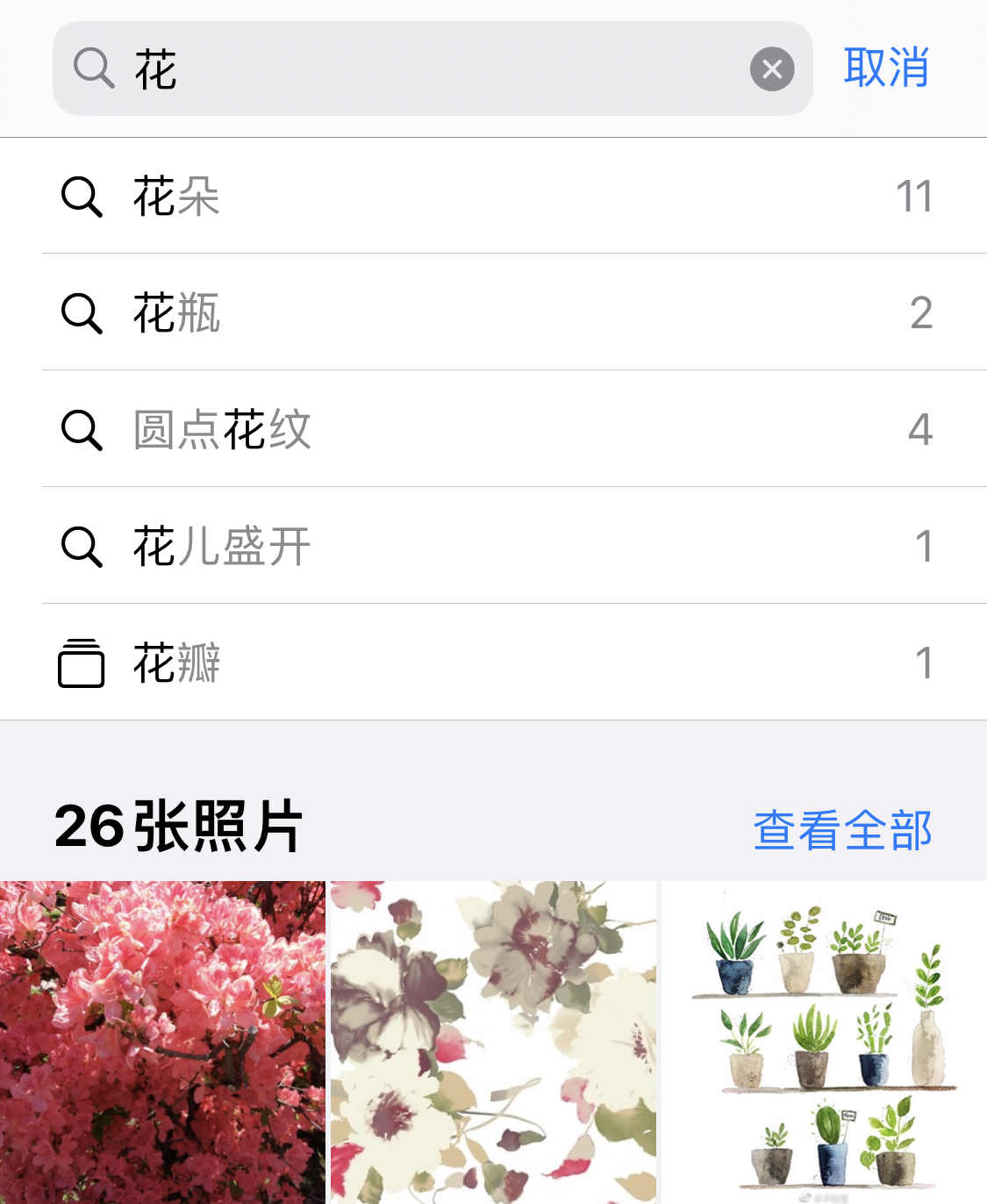 特克斯苹果手机维修分享iPhone 小技巧 