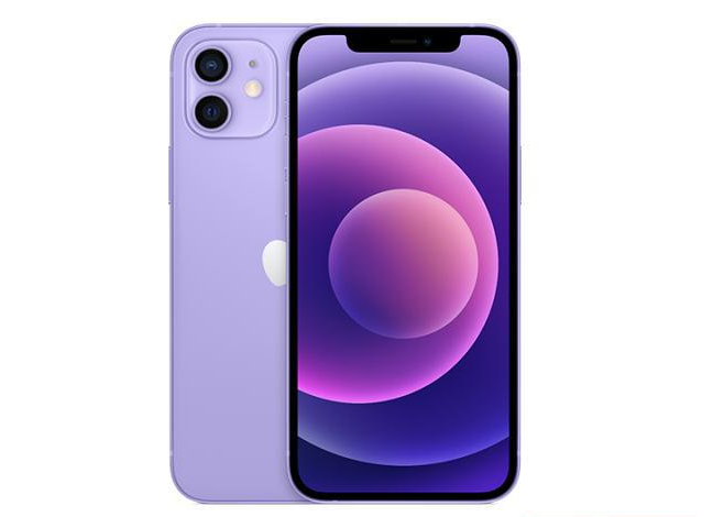 特克斯苹果手机维修分享现阶段要不要入手紫色版iPhone12 