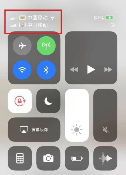特克斯苹果手机维修分享为 iPhone 12 双卡设置标签 