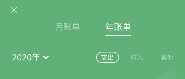 特克斯苹果手机维修分享如何在 iPhone 上查看支付宝和微信年支出账单 