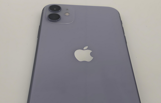 特克斯苹果11系统维修分享iPhone11手机系统崩溃无法开机如何解决 