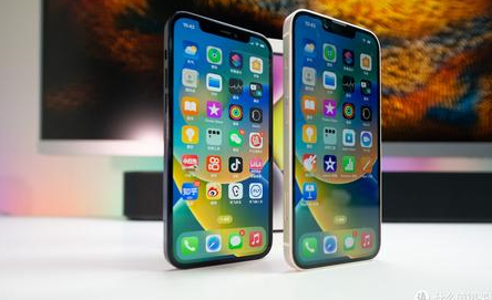 特克斯苹果维修点分享iPhone 14 Plus锁屏密码要点梳理 