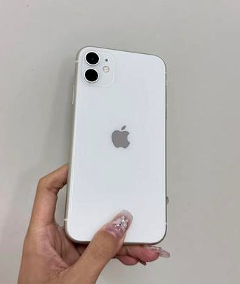 特克斯苹果维修点分享iPhone 11黑屏特殊场景解析 